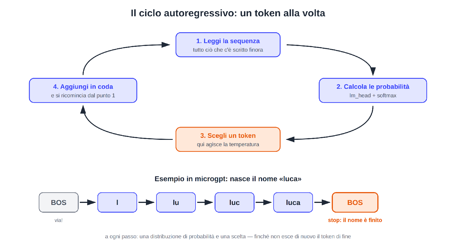 Figura 2: il ciclo autoregressivo — da BOS a “luca”, un token alla volta; il ciclo si chiude quando esce di nuovo il token di fine.
